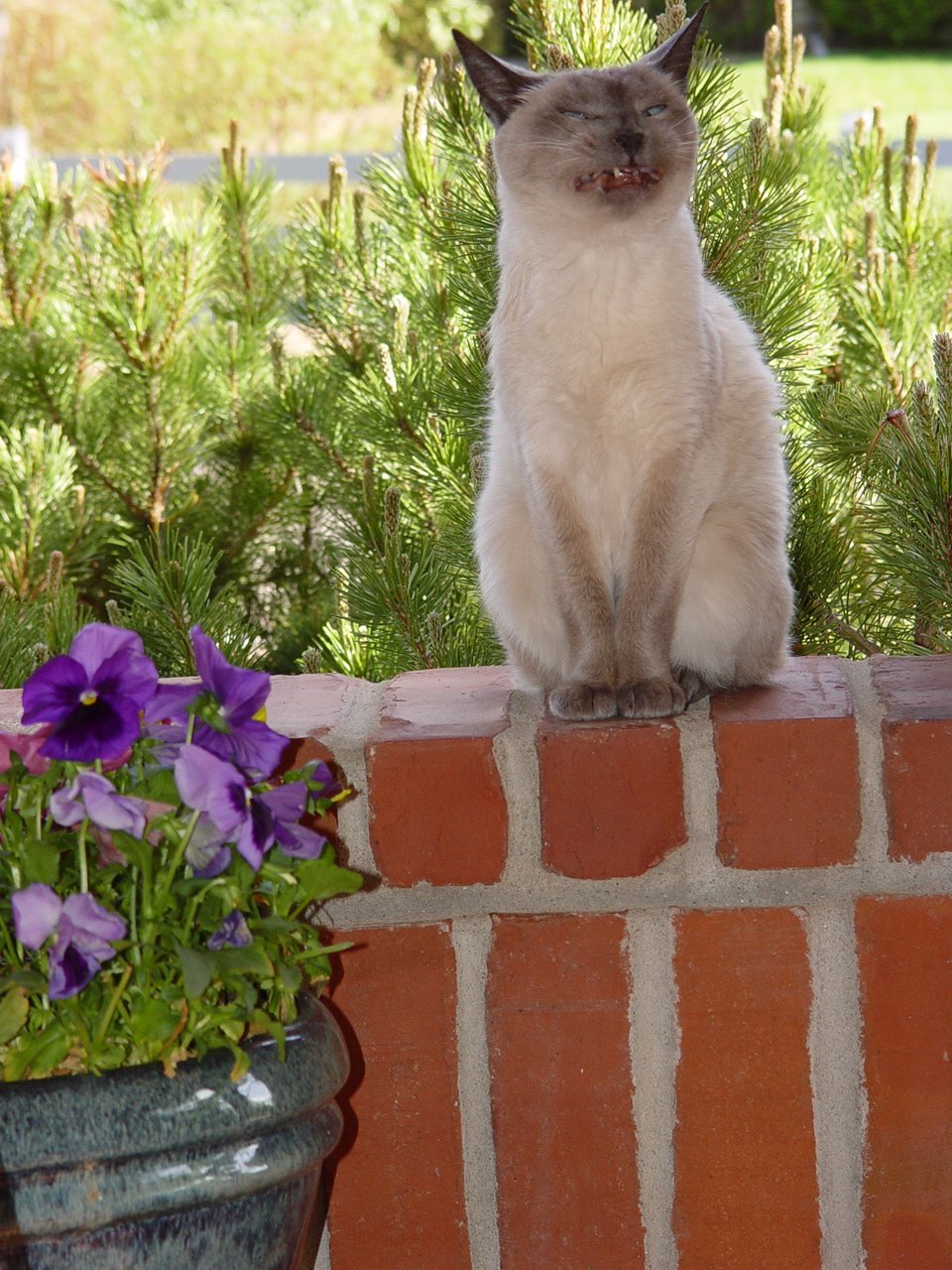 [DSC07903.JPG]