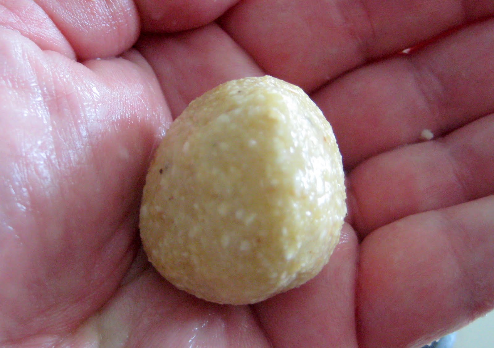 Equal Opportunity Kitchen Matzo Balls