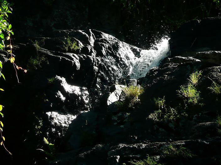 [P1090283.JPG]