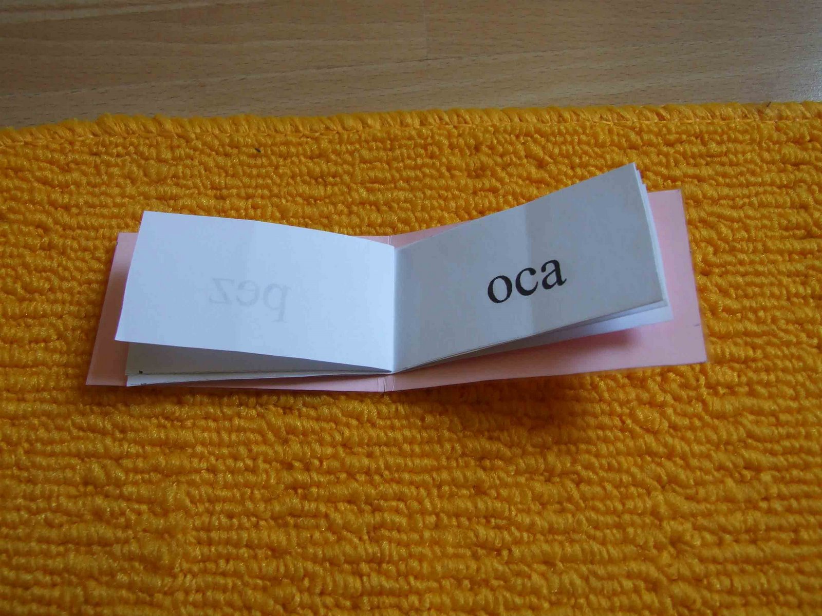[el-mini-libro.jpg]