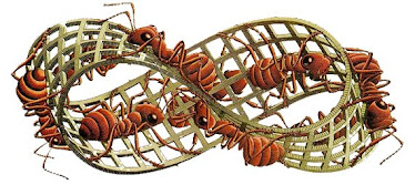 Formigas na Cinta de Moebius - por Escher