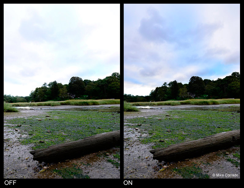 How To Nikon Active Dlighting Tip