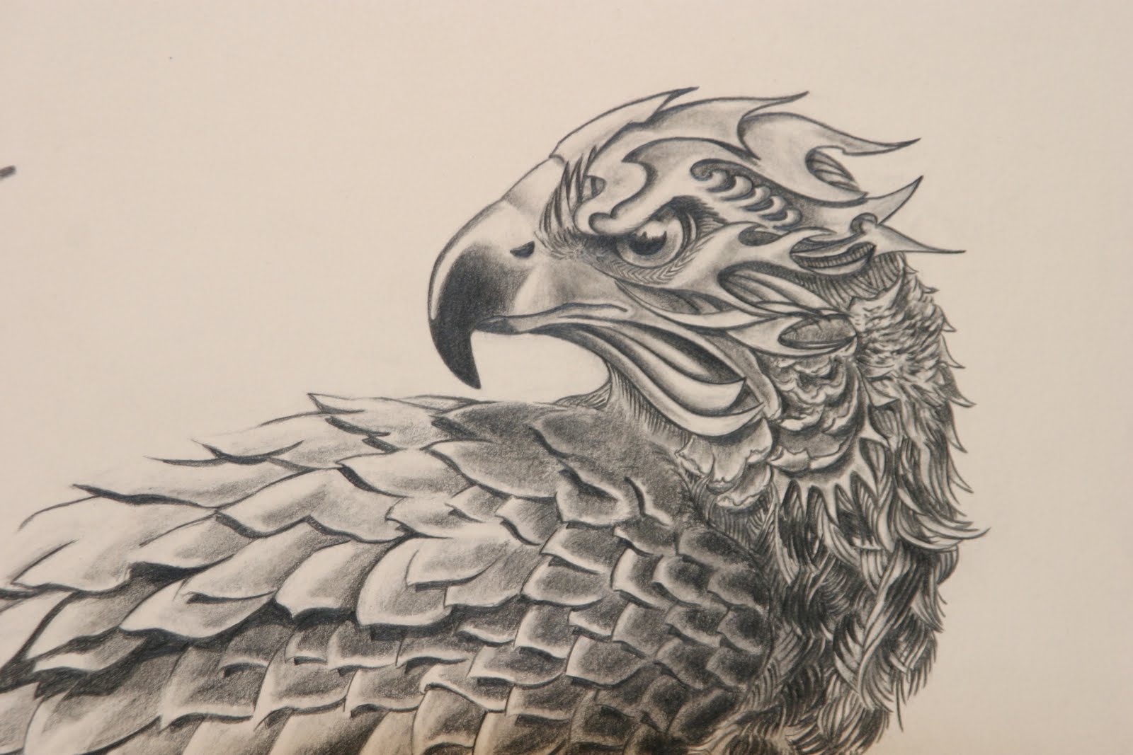 Cute Sketch Hawk Drawing for Beginner
