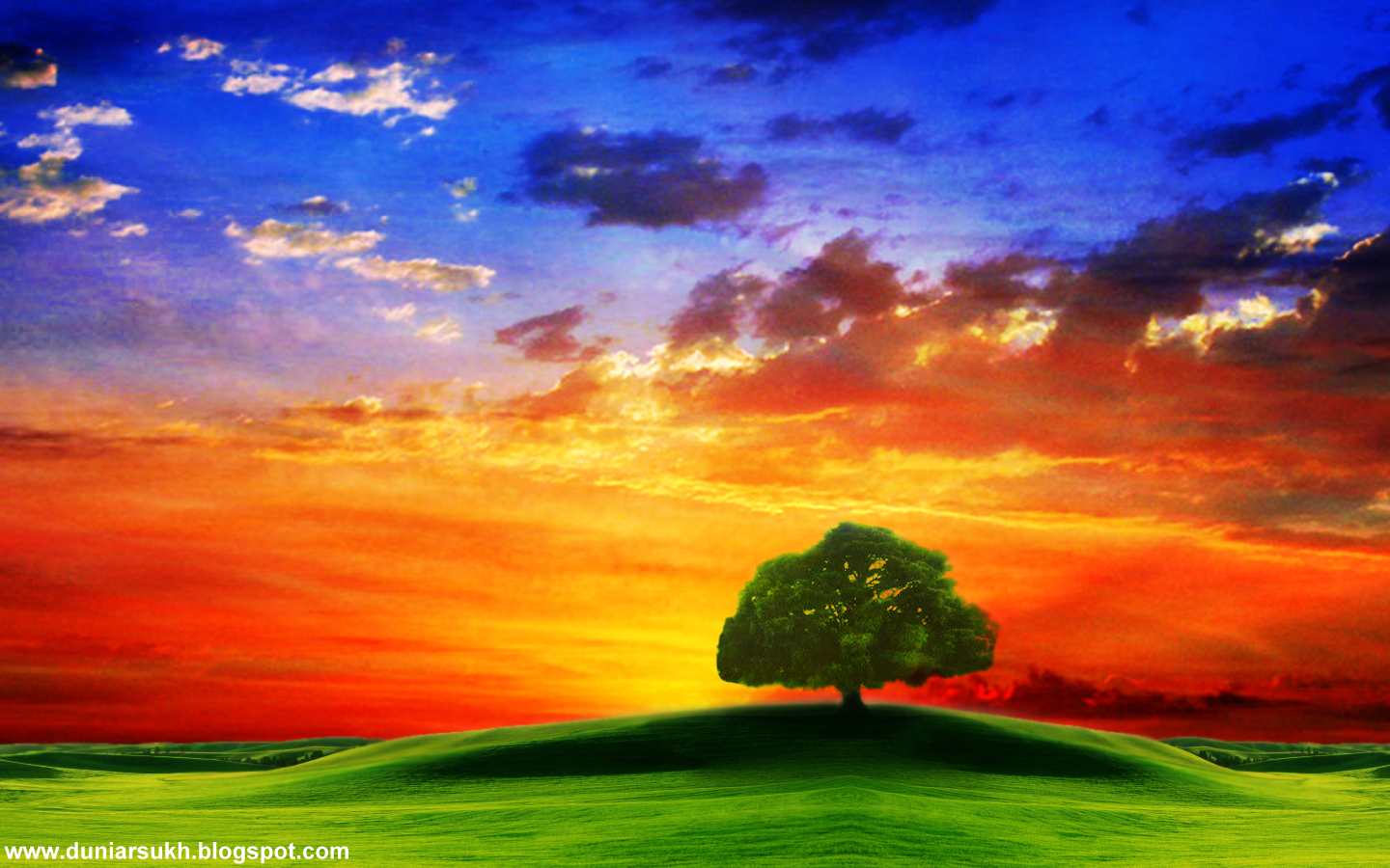 http://4.bp.blogspot.com/_aTX-Oa7T9y0/TSQke6HswCI/AAAAAAAAAk0/arbwr08dq9w/s1600/1287393969_1440x900_lonely-tree-on-a-plain.jpg
