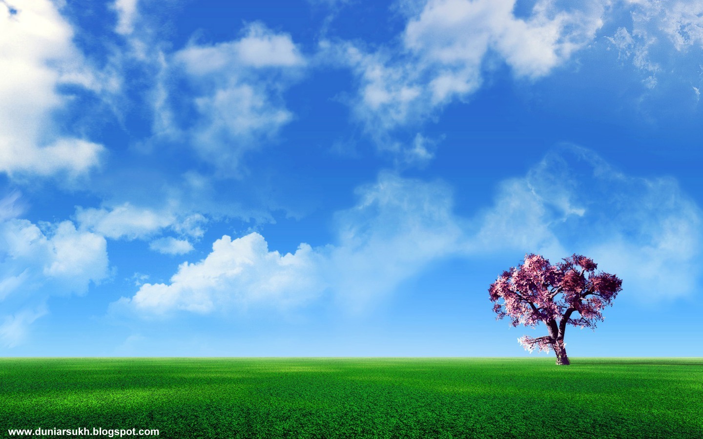 http://4.bp.blogspot.com/_aTX-Oa7T9y0/TSQlcO85KbI/AAAAAAAAAk8/E812ttCeTLY/s1600/1287394228_1440x900_cherry-tree-on-the-plain.jpg