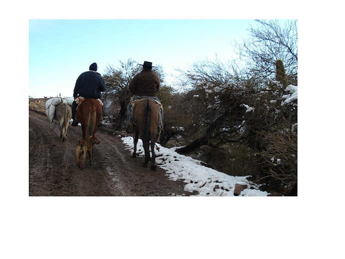 NUESTROS ARRIEROS