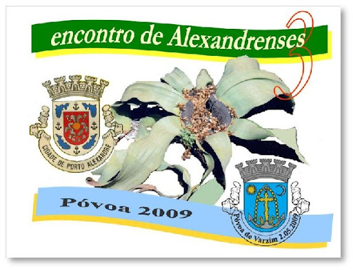 Kimbares Póvoa 2009