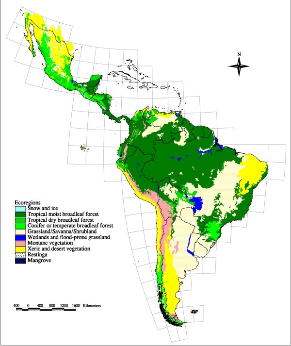 Latin American Biomes