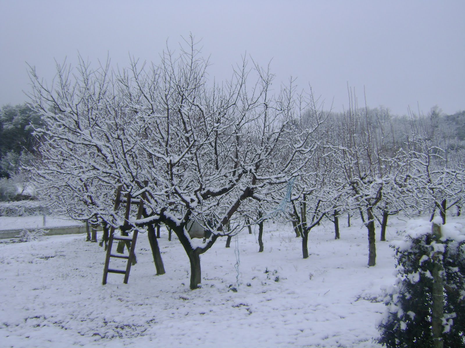 [DSC01083.JPG]