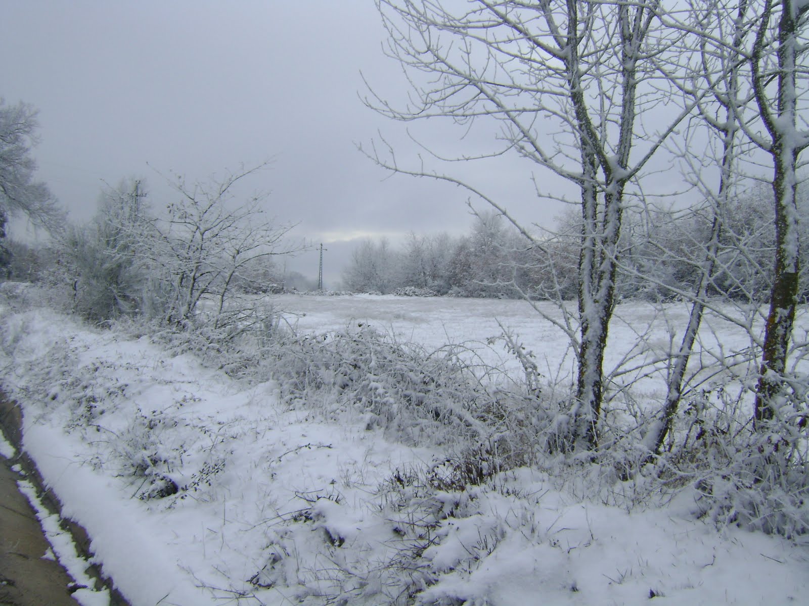 [DSC01140.JPG]