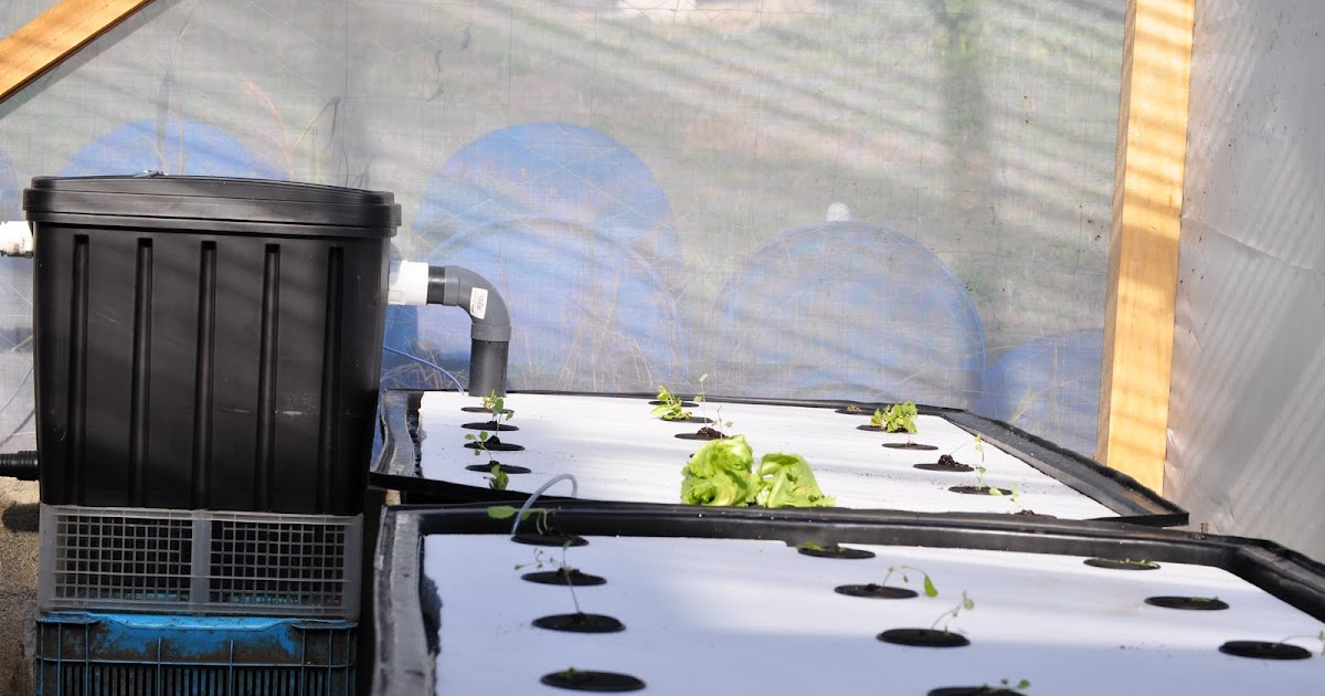 Farmer Brown's Aquaponics Floating Raft System