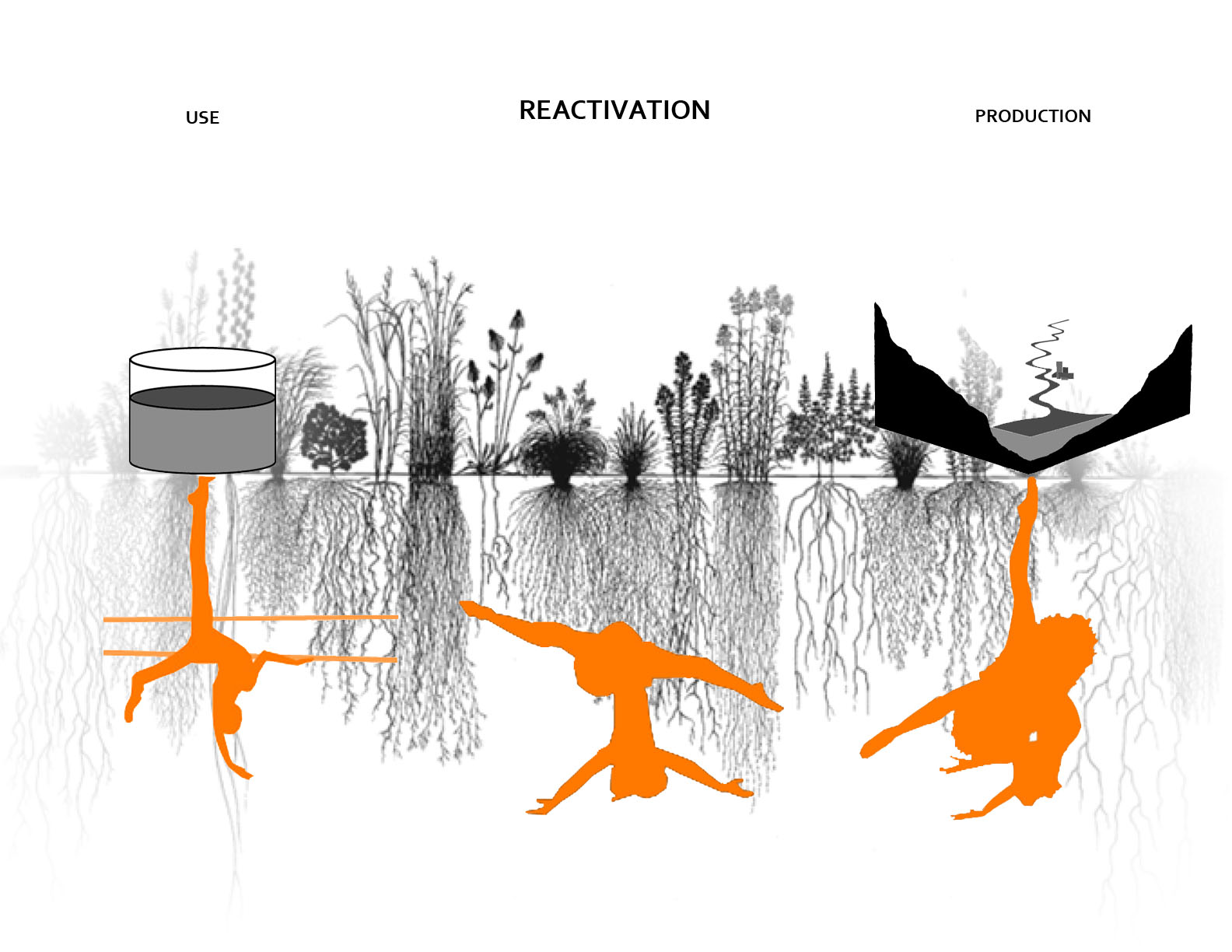 innate concept thesis innate concept thesis