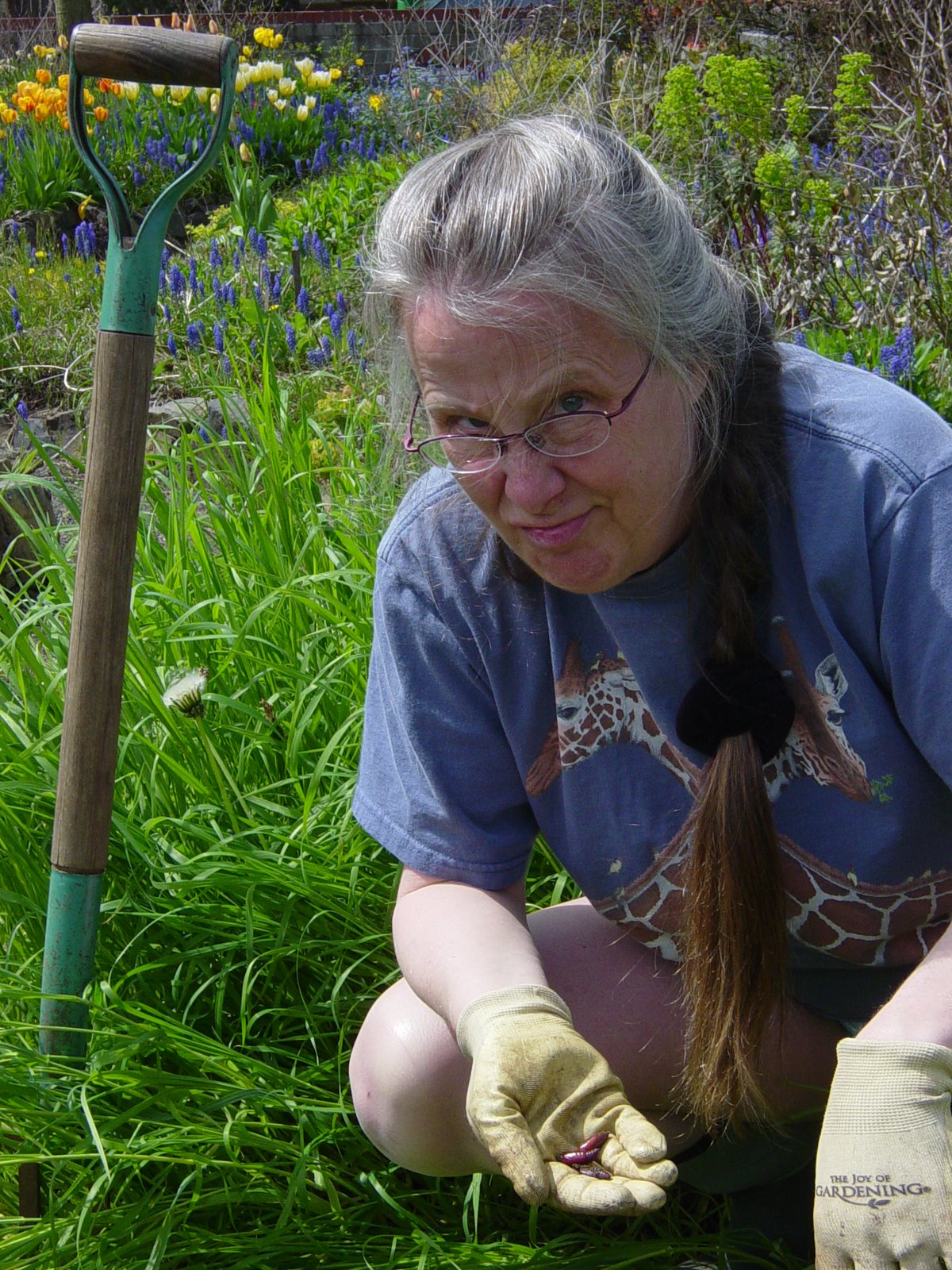 [garden,+jay,+insect+017.JPG]