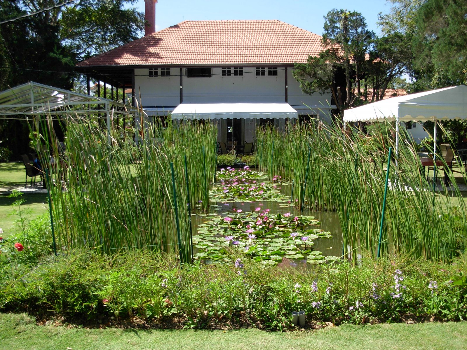 [DSCN4662.JPG]