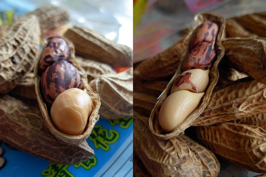 [Groundnut.JPG]