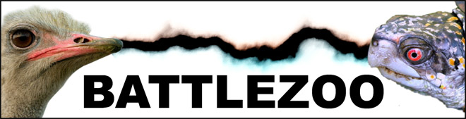 BATTLEZOO - A blog about animals fighting.