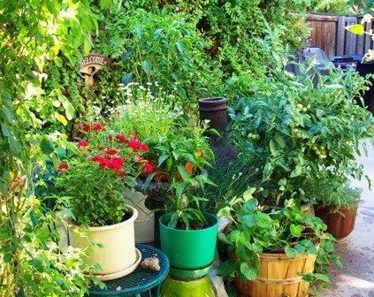 Garden Ideas For Small Gardens. 2011 garden design ideas for small gardening ideas for small gardens.