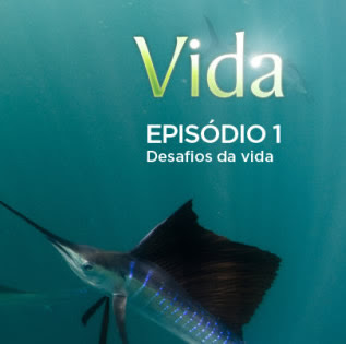 Desafios da Vida