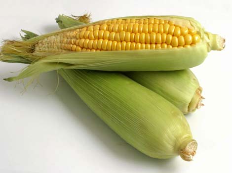 [sweet-corn.jpg]