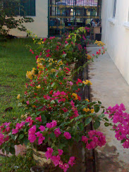 flowers at home