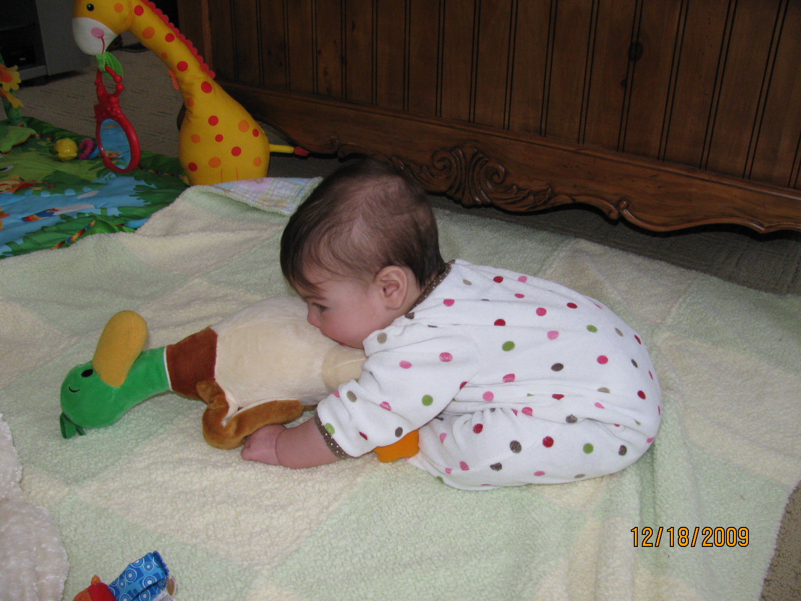 [IMG_0790.JPG]