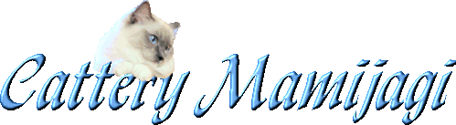 Cattery Mamijagi