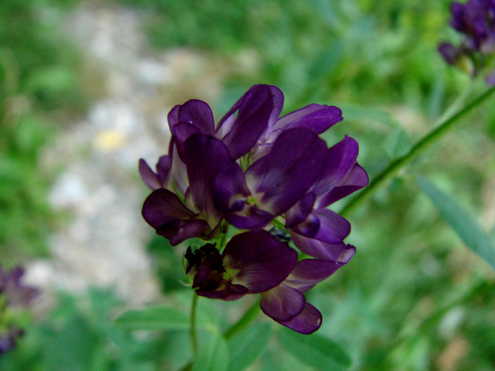 [DSC06408.JPG]