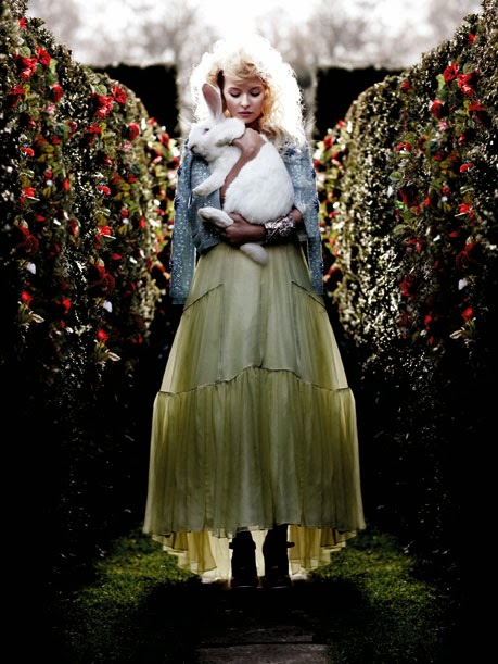 [alice-and-rabbit_94773a.jpg]
