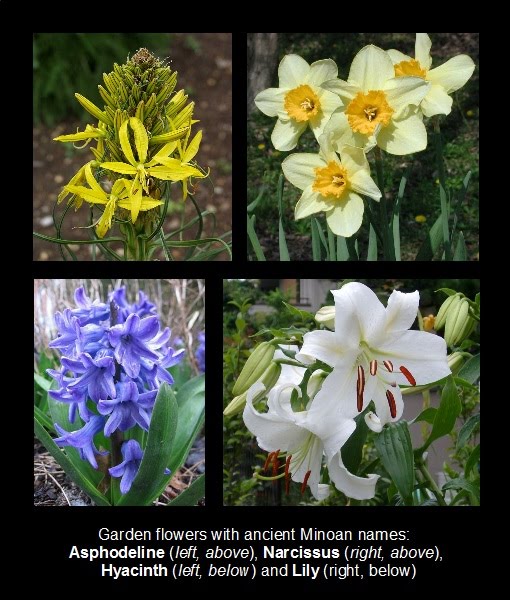 Minoan language blog Flower gardens of ancient Crete