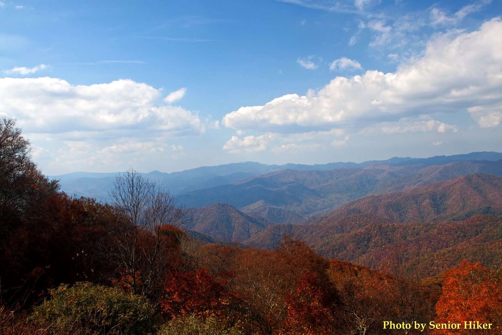 Photos by Senior Hiker The View From Balsam Mountain