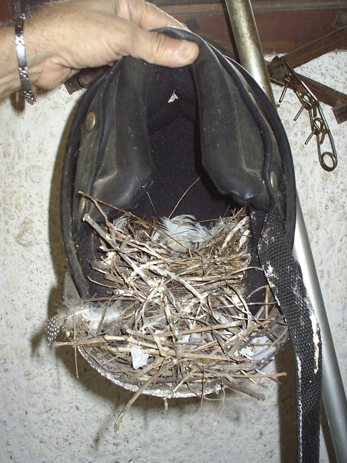 [S3000112.JPG]