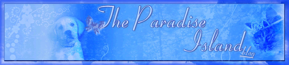 The Paradise Island's blog