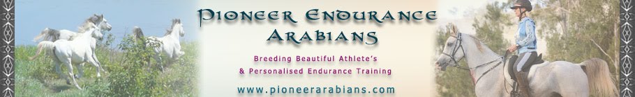 Pioneer Park Arabians & Endurance Horses