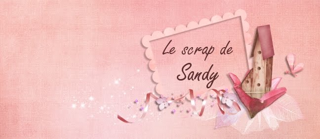 Le scrap de Sandy