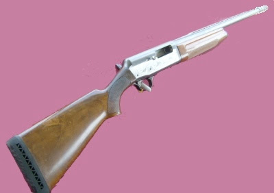 Franchi Guns