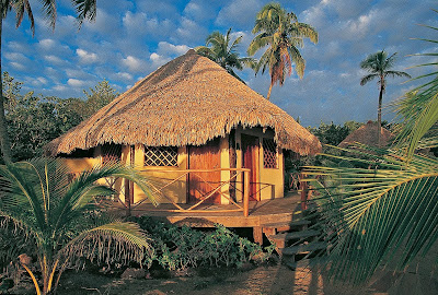 Beautiful Holiday
