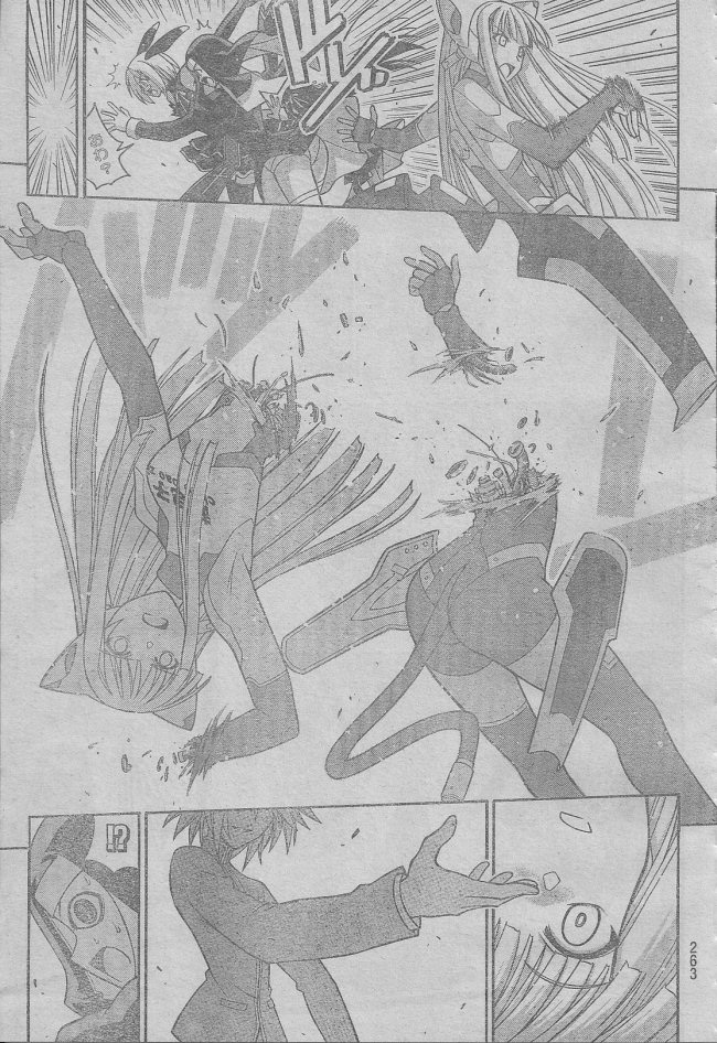 Negima 312