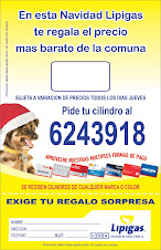 LIPIGAS CONCHALI