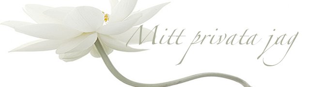 Mitt privata jag