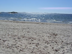Sommar