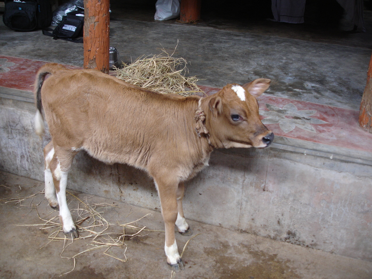 Atreya Rocks Part 1 The Story Of Kannu Kutty Join facebook to connect with kannu kutty and others you may know. atreya rocks