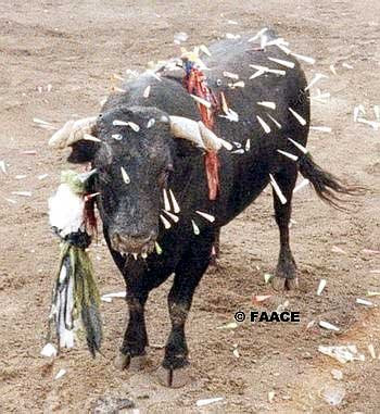 Tortura : Ni arte Ni cultura. Tortura : Ni arte Ni cultura.