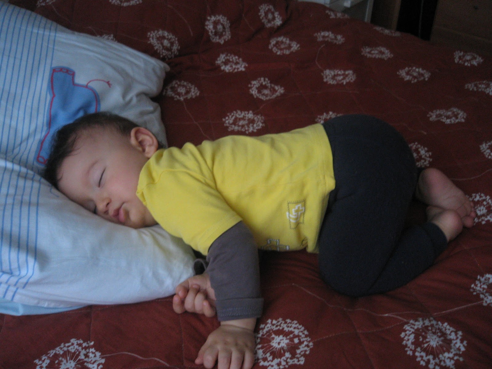 Küçük Prensim Küçük Prens 11 aylık