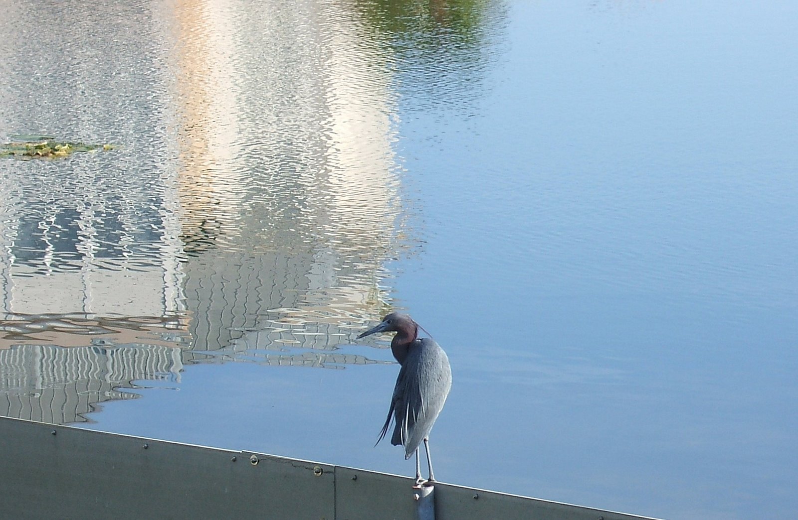 [0903150072.JPG]