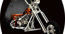 kikker mini chopper