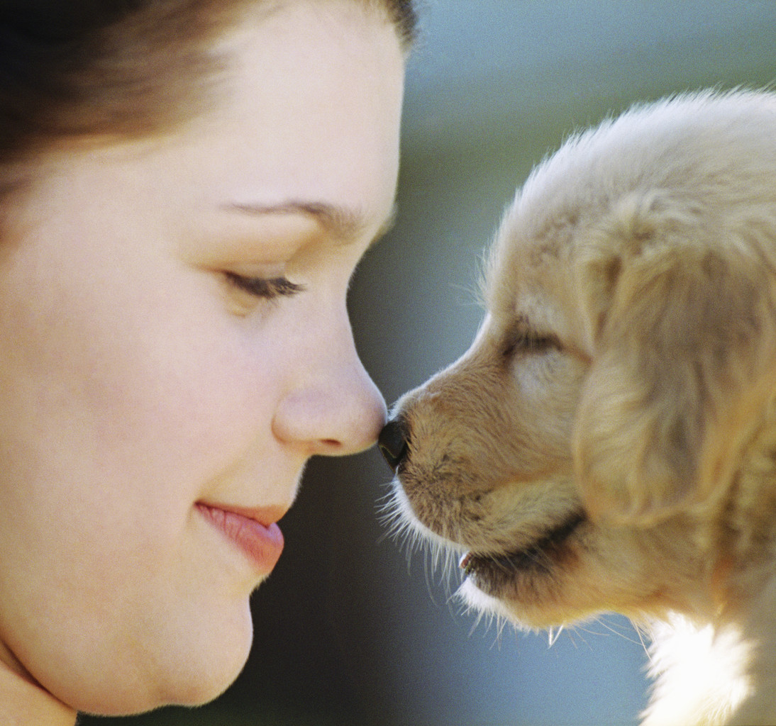 Affordable Generic Pet Meds