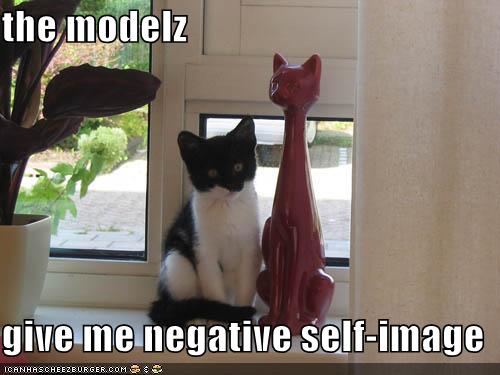 [lolmodelcat.jpg]
