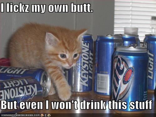[lolcatdrink.jpg]