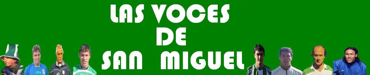 LAS VOCES DE SAN MIGUEL