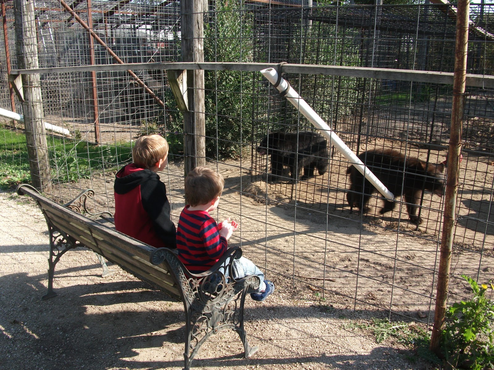 Delaware County Homeschoolers Fun at the Cricket Hollow Zoo